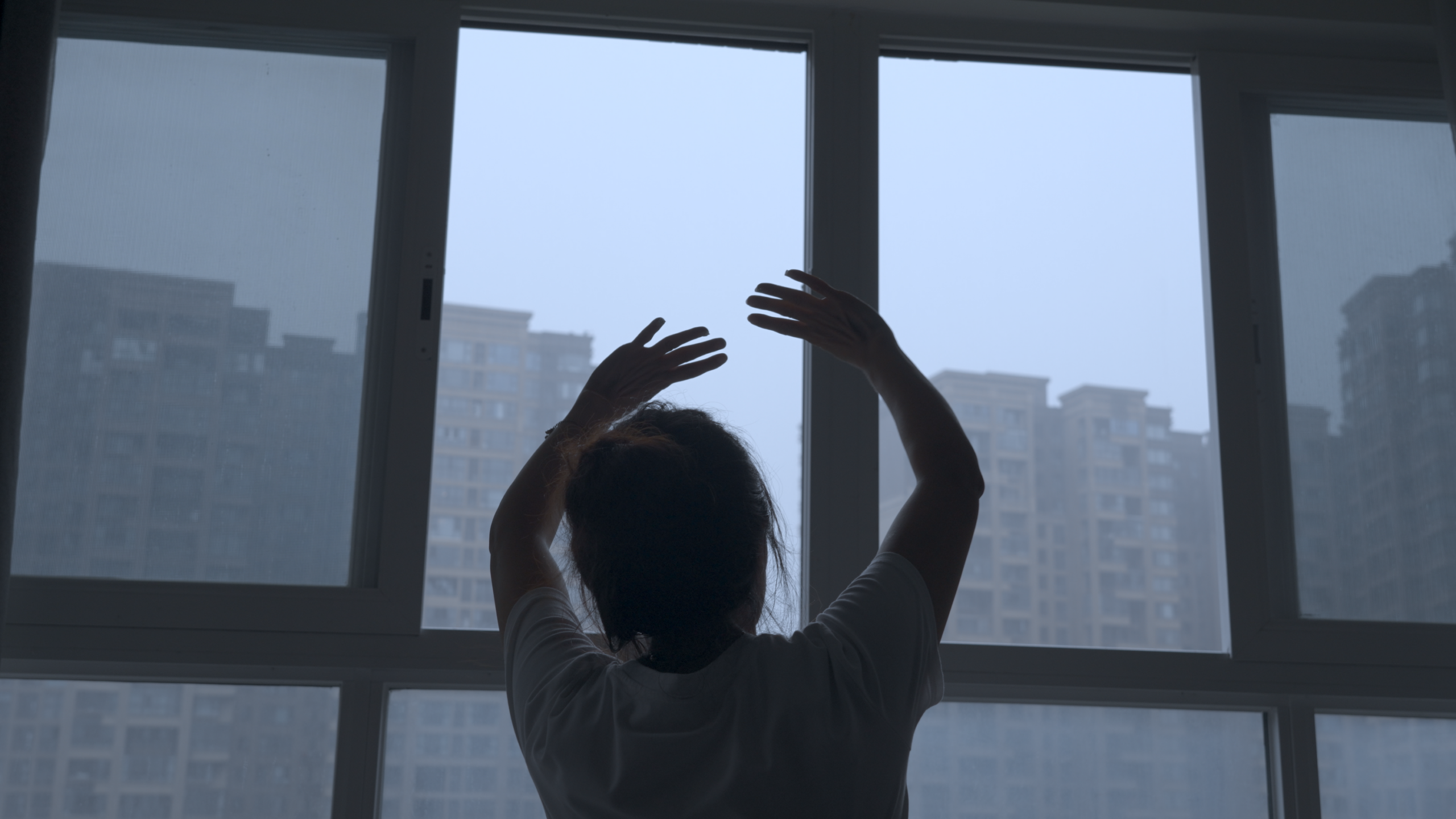 Découvrez les films de Première fenêtre