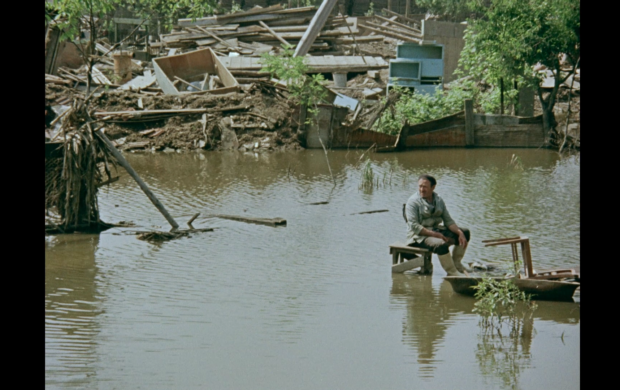 Image de Apa ca un bivol negru