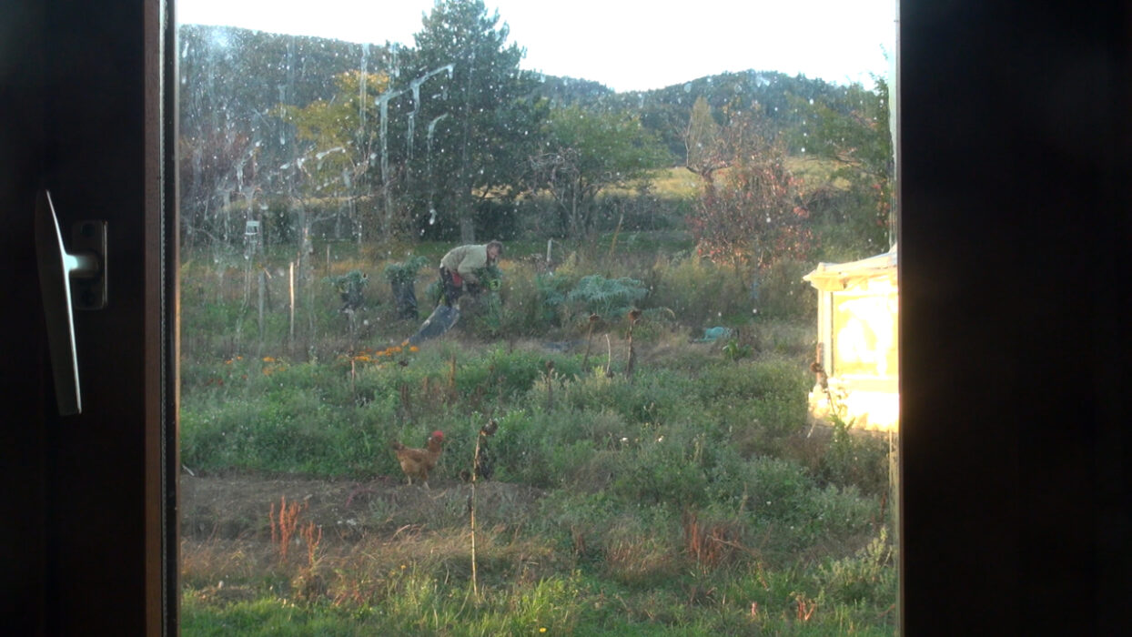 © Cyprien Ponson _ LES FILMS DE L’AUTRE COUGAR