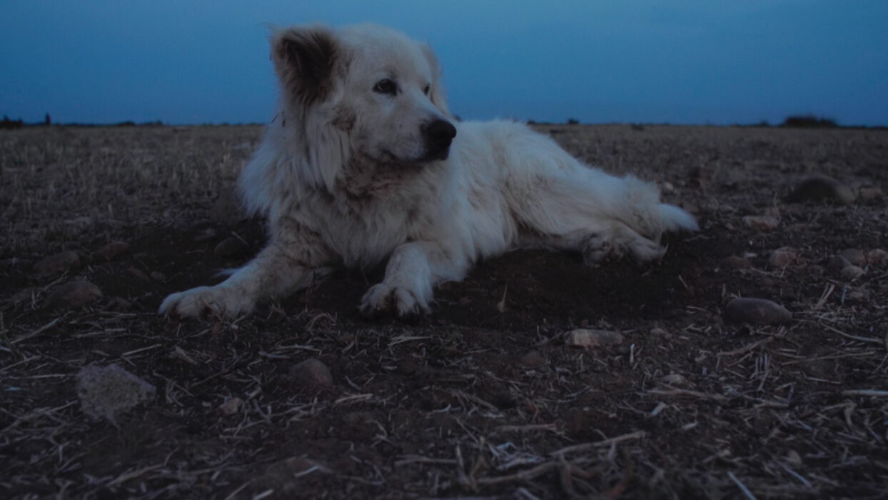 © Charles Moreau-Boiteau _ MACALUBE FILMS