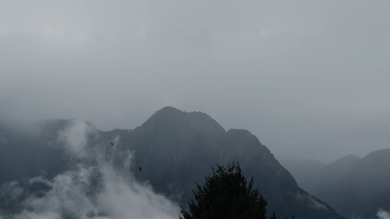 © René Ballesteros, LES FILMS D'ICI