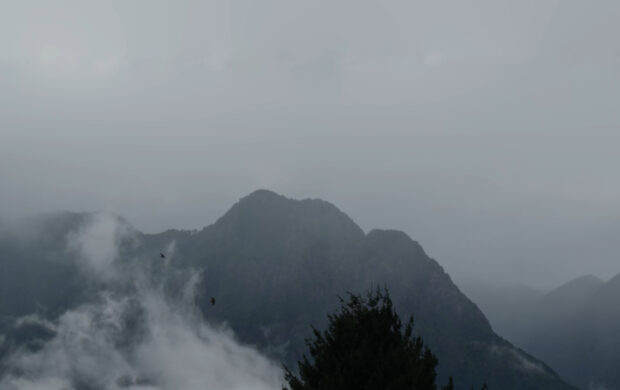 Image issue du film Les enfants sans terre