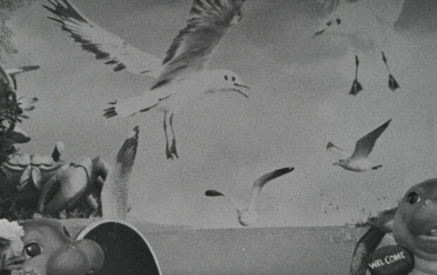 Image issue du film Local Sensations