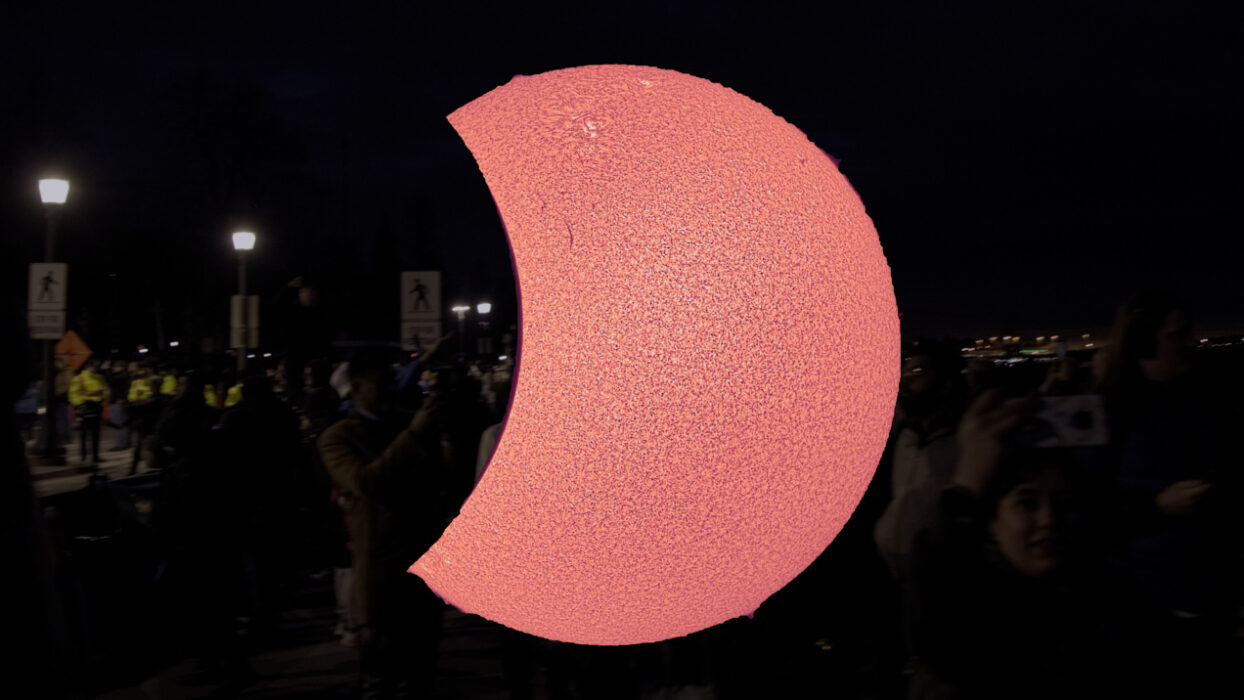 © Maïder Fortune, Annie MacDonell