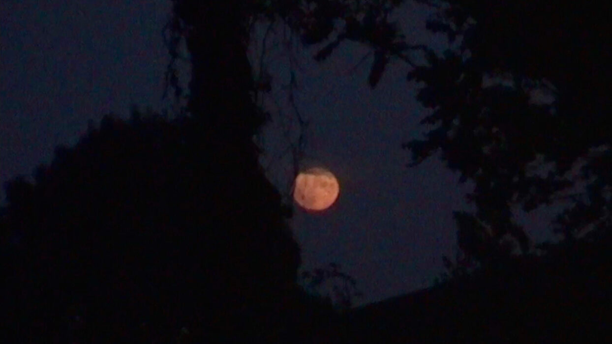 © Skander Mestiri, MAISON FRACAS