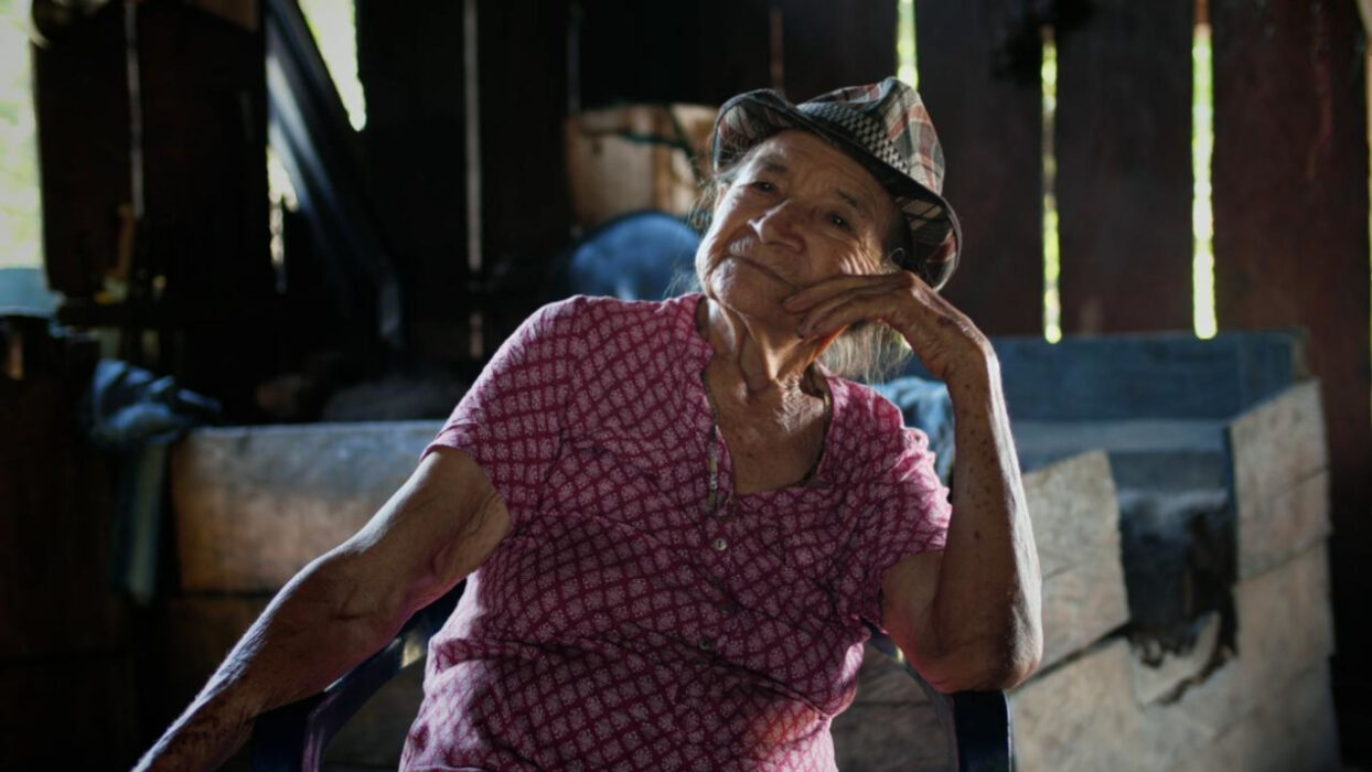 © Guillermo Quintero / STANK / Palíndroma