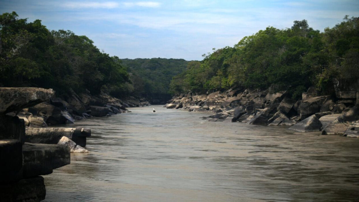 © Guillermo Quintero / STANK / Palíndroma