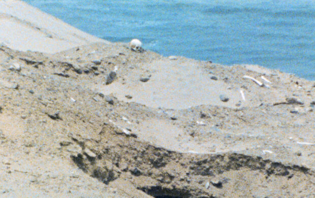 Image issue du film Rose moderne, Huancor, Pakatnamu prémonition, trois formes courtes