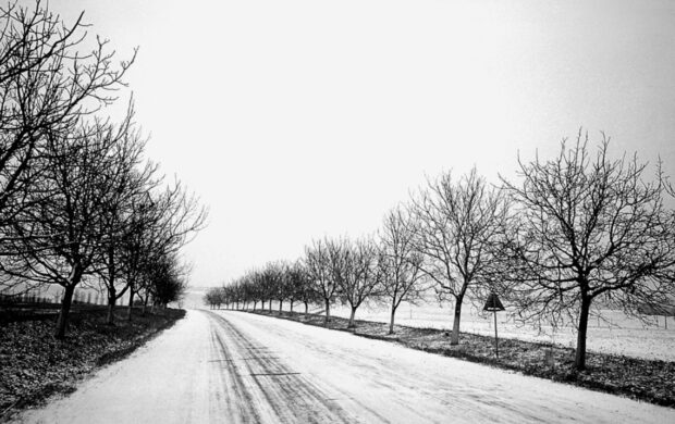 Image issue du film Shot Reverse Shot