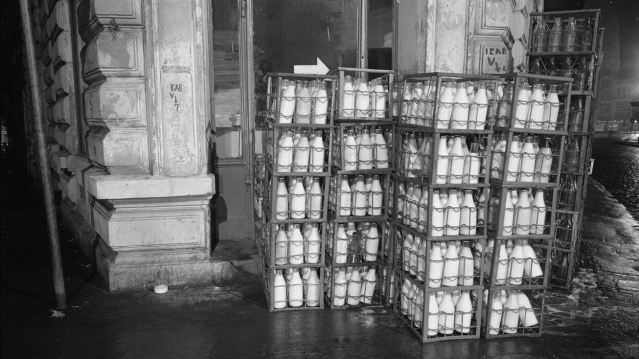 © Radu Jude, Adrian Cioflâncă, SAGA FILMS