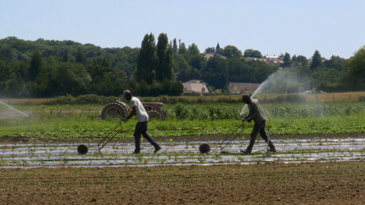 © Damien Cattinari, AVRIL FILMS