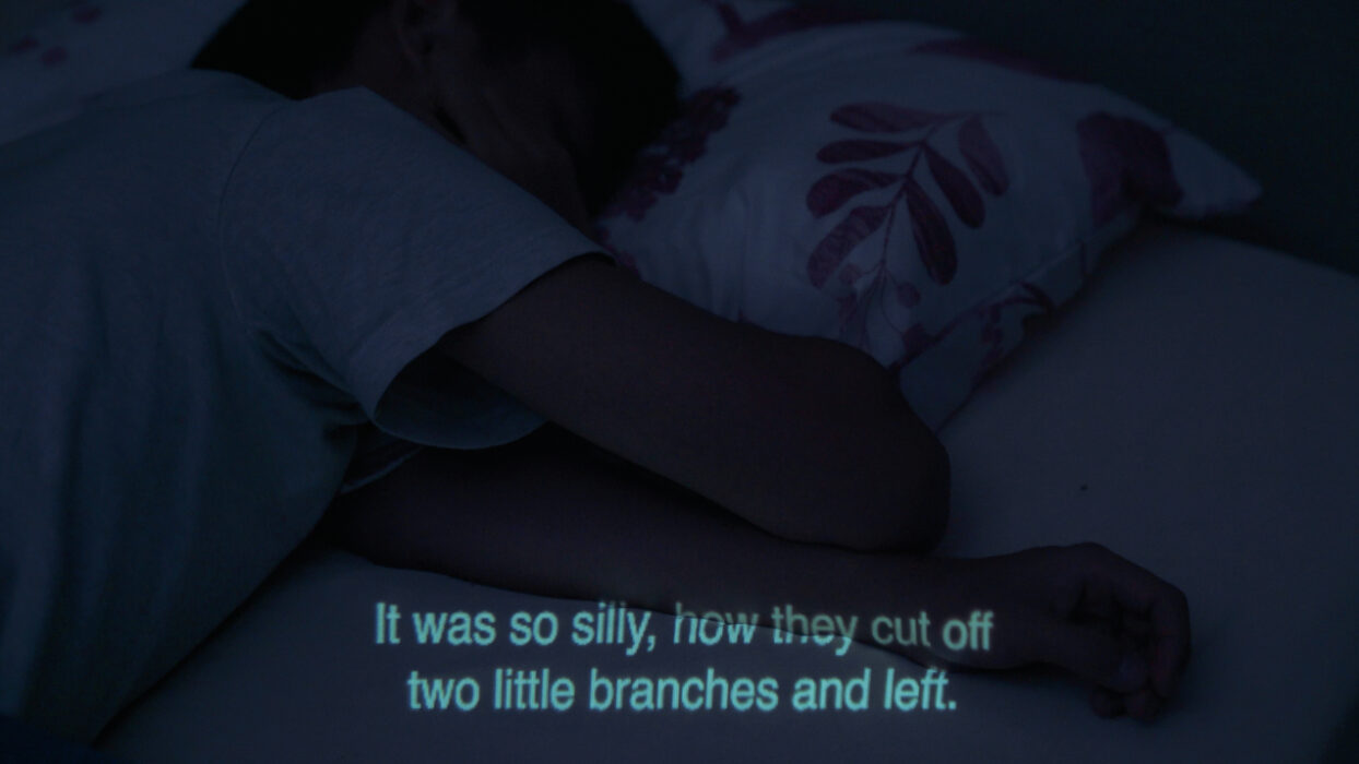 © Phuong Thao Nguyen