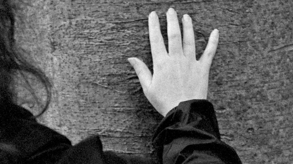 © Stefano Canapa, Natacha Muslera, Volte Film