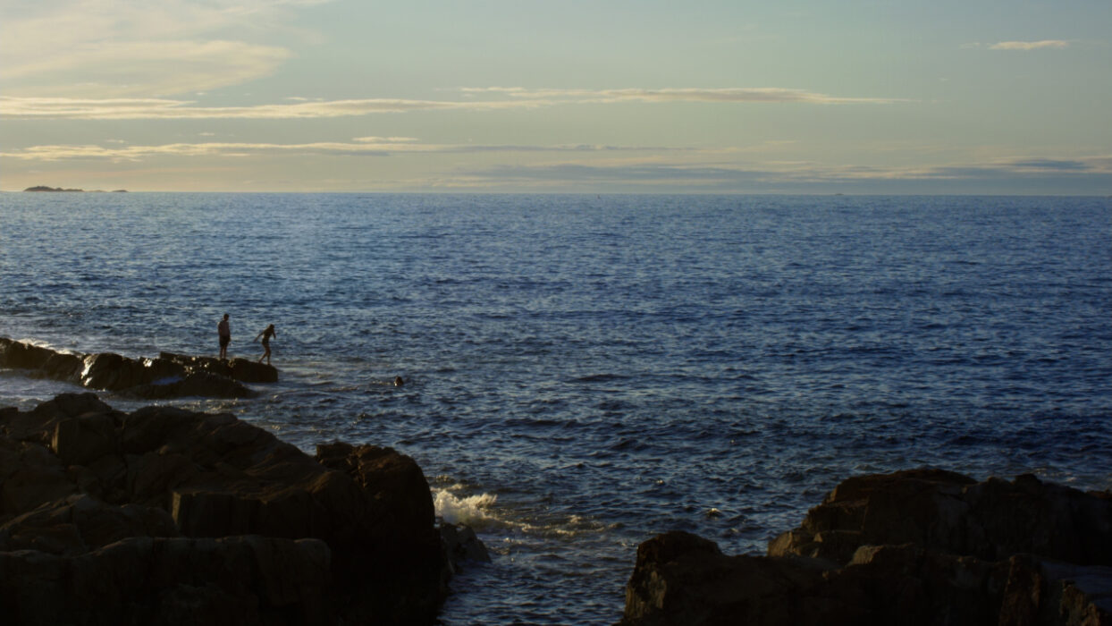 © Sharon Lockhart 2025