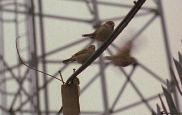 Image issue du film A Grammar for Listening Part 1