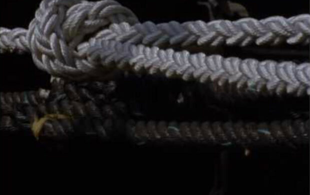 Image issue du film A Grammar for Listening Part 2