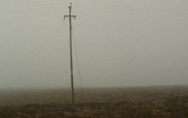 Image issue du film Bogman Palmjaguar