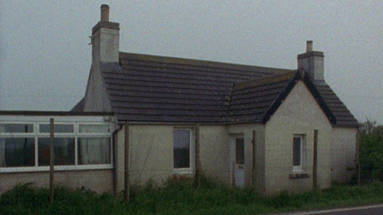 Bogman Palmjaguar © Luke Fowler