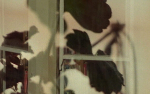 Image issue du film David