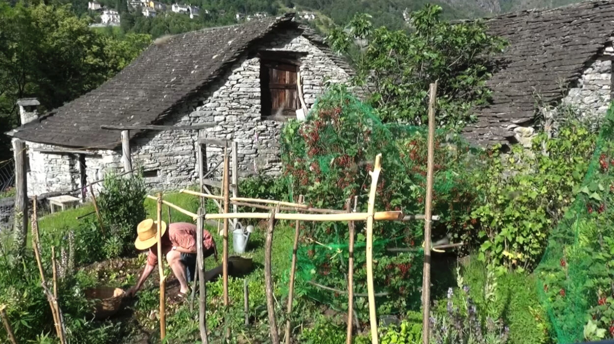 © Amit Dutta _ GBF Foundation