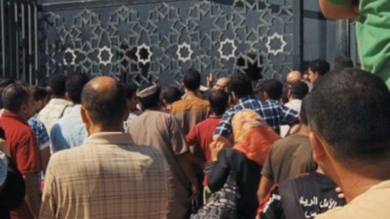 © Rosalind Nashashibi