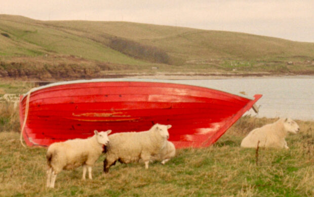 Image issue du film For The Islands I Sing