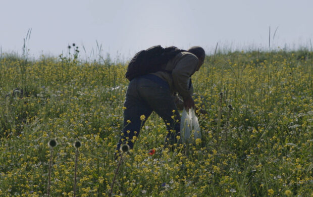 Image issue du film Foragers