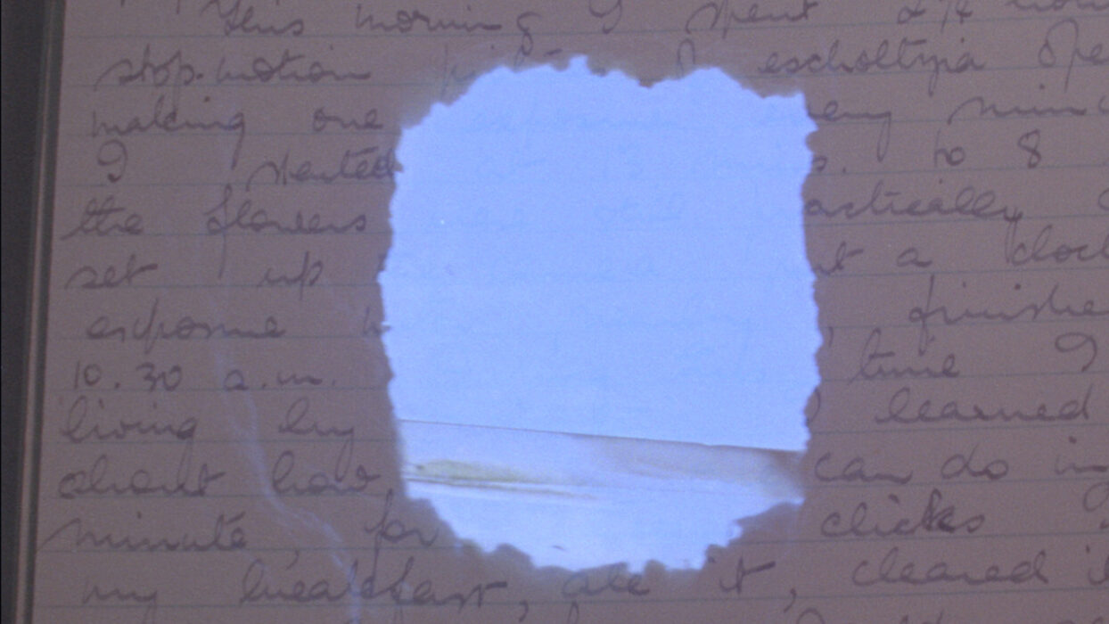 Houses (for Margaret) © Luke Fowler