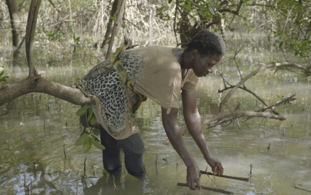 Image issue du film Mangrove School