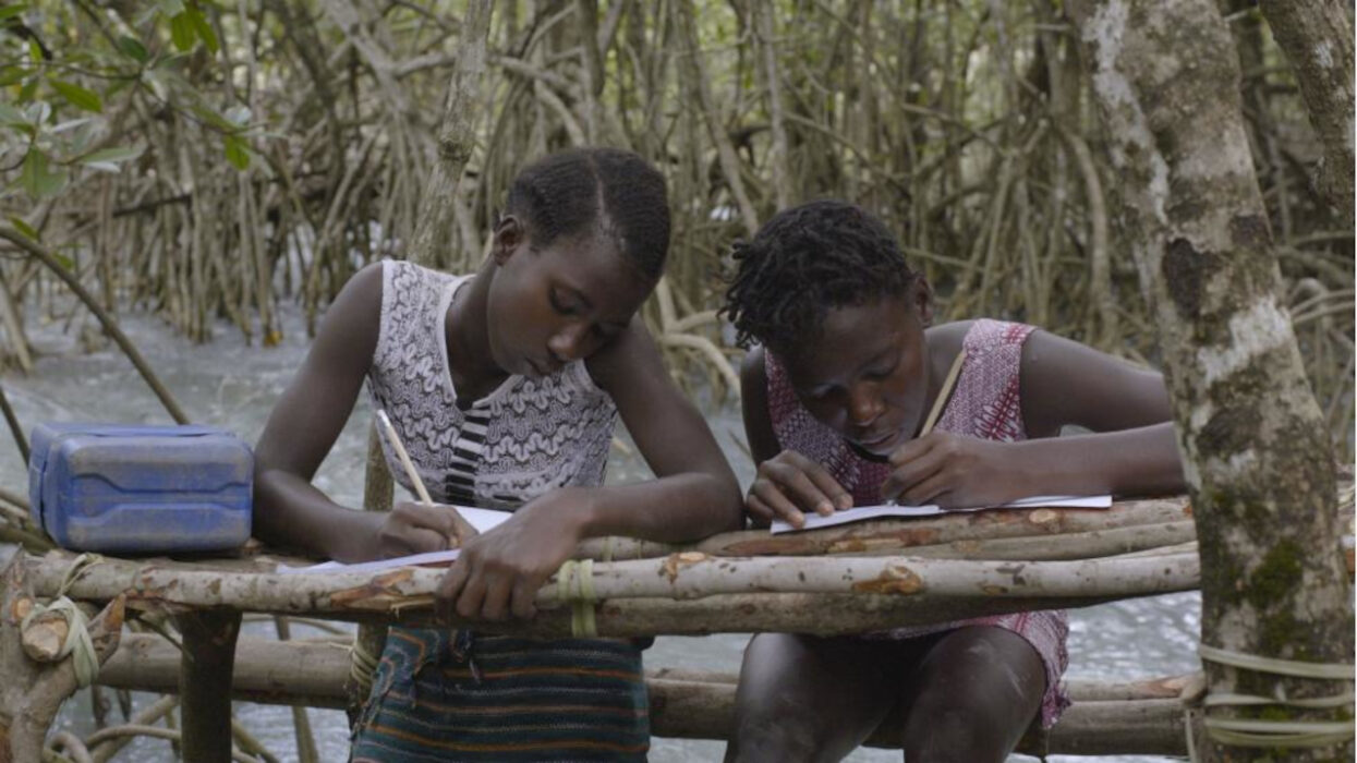 Image issue du film Mangrove School