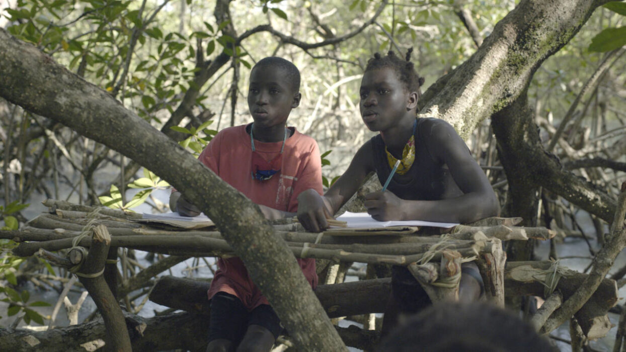 Image issue du film Mangrove School