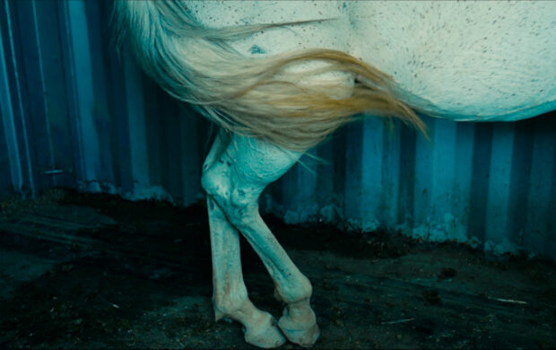 Image issue du film Offing