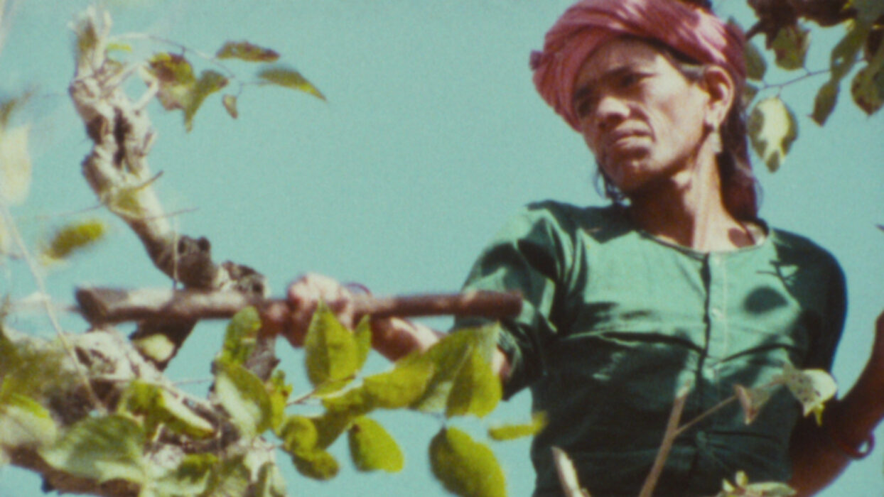 Image issue du film Sudesha