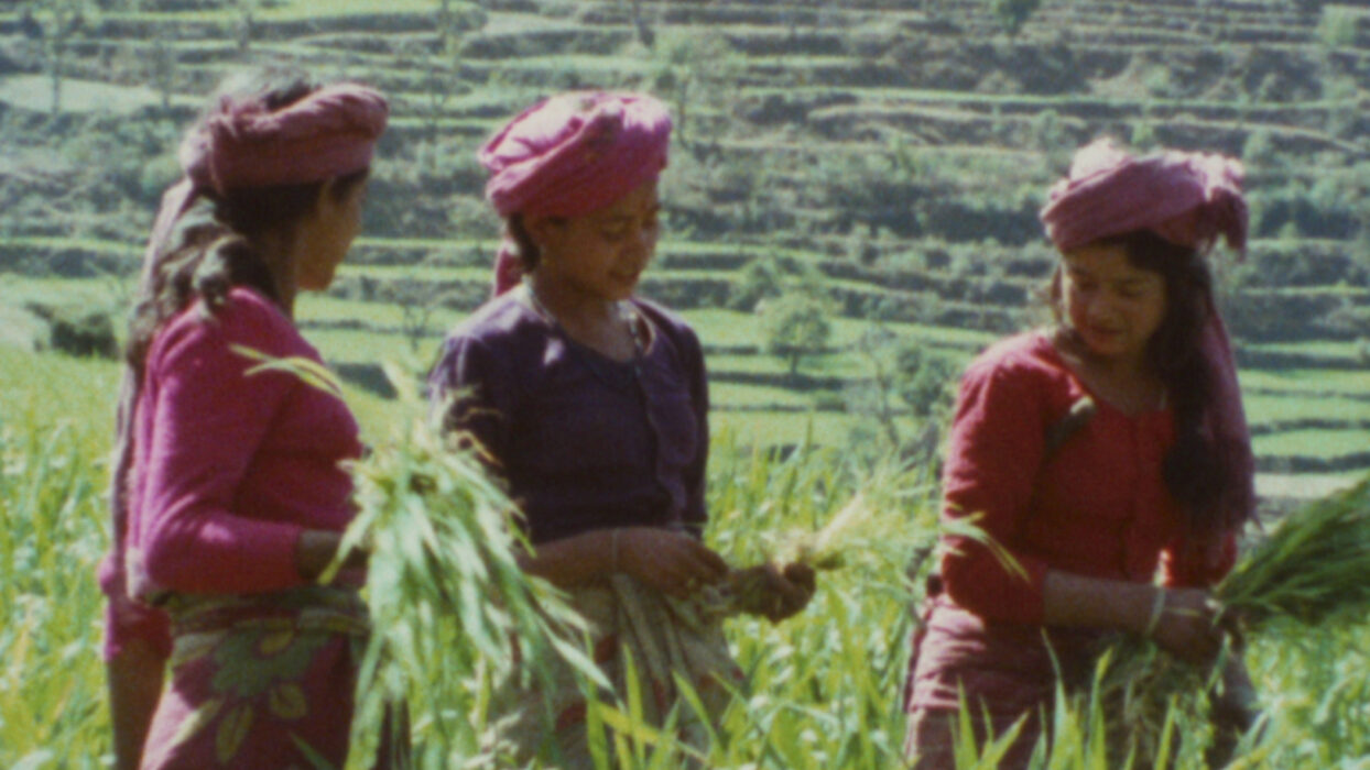 © Collectif Yugantar, Faust Film