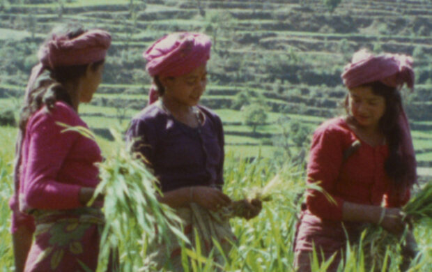 Image issue du film Sudesha