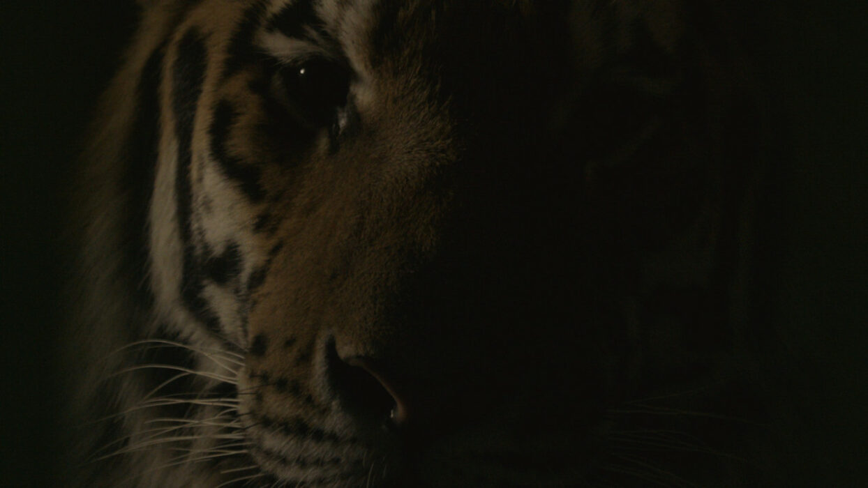 CREATOR: gd-jpeg v1.0 (using IJG JPEG v62), quality = 90