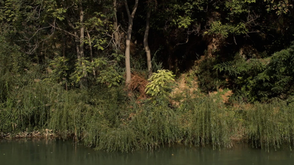 Image issue du film the Haunted