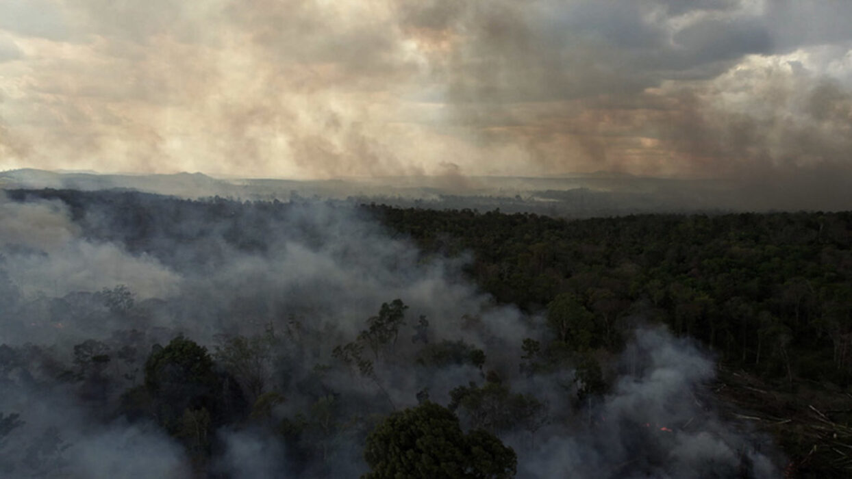 © Rithy Panh _ Catherine Dussart Production_ ARTE France _ Anupheap Production