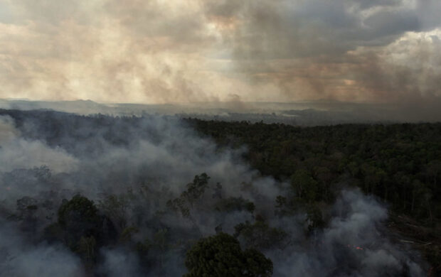 Image issue du film Nous sommes les fruits de la forêt