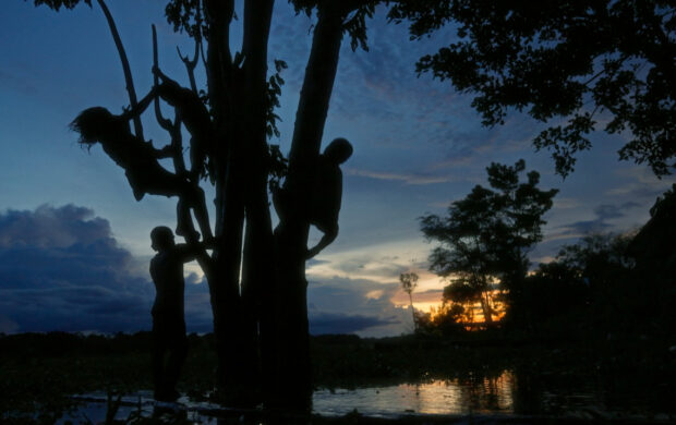 Image issue du film Pies al revés