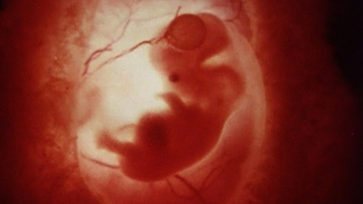 The Way Out © Luke Fowler, Kosten Koper