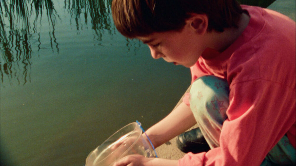 © Ross McElwee _ Giant Squid