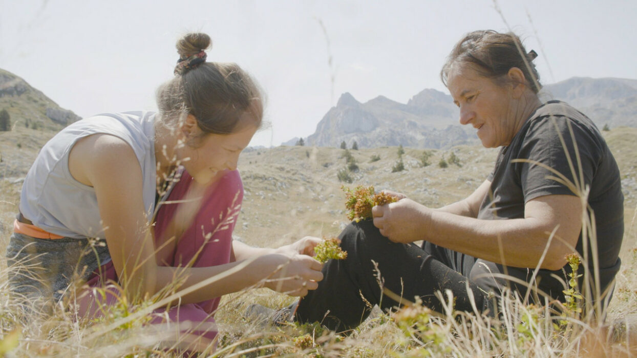 © Biljana Tutorov, Petar Glomazić _ Wake Up Films _ Cut-Up _ Les Films de l'œil sauvage _ Cvinger Film