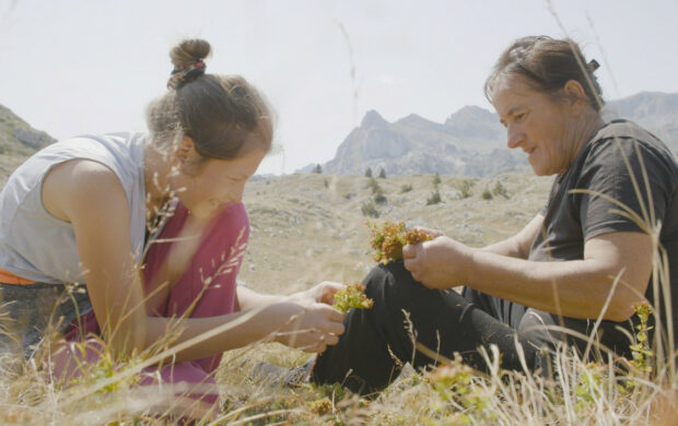 Image issue du film Yo Hold a Mountain