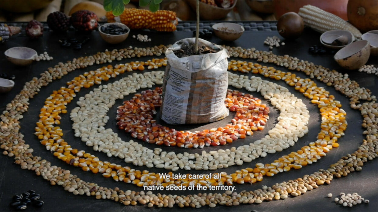 © Marwa Arsanios _ mor charpentier